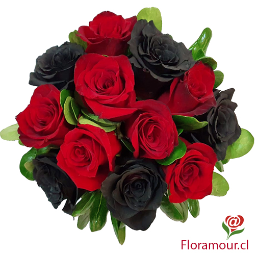 Ramo de 12 flores naturales, compactas, atadas y envueltas en papel decorativo. Rosas negras con tinturación especial de fantasía. Exclusivo. Sólo Santiago de Chile